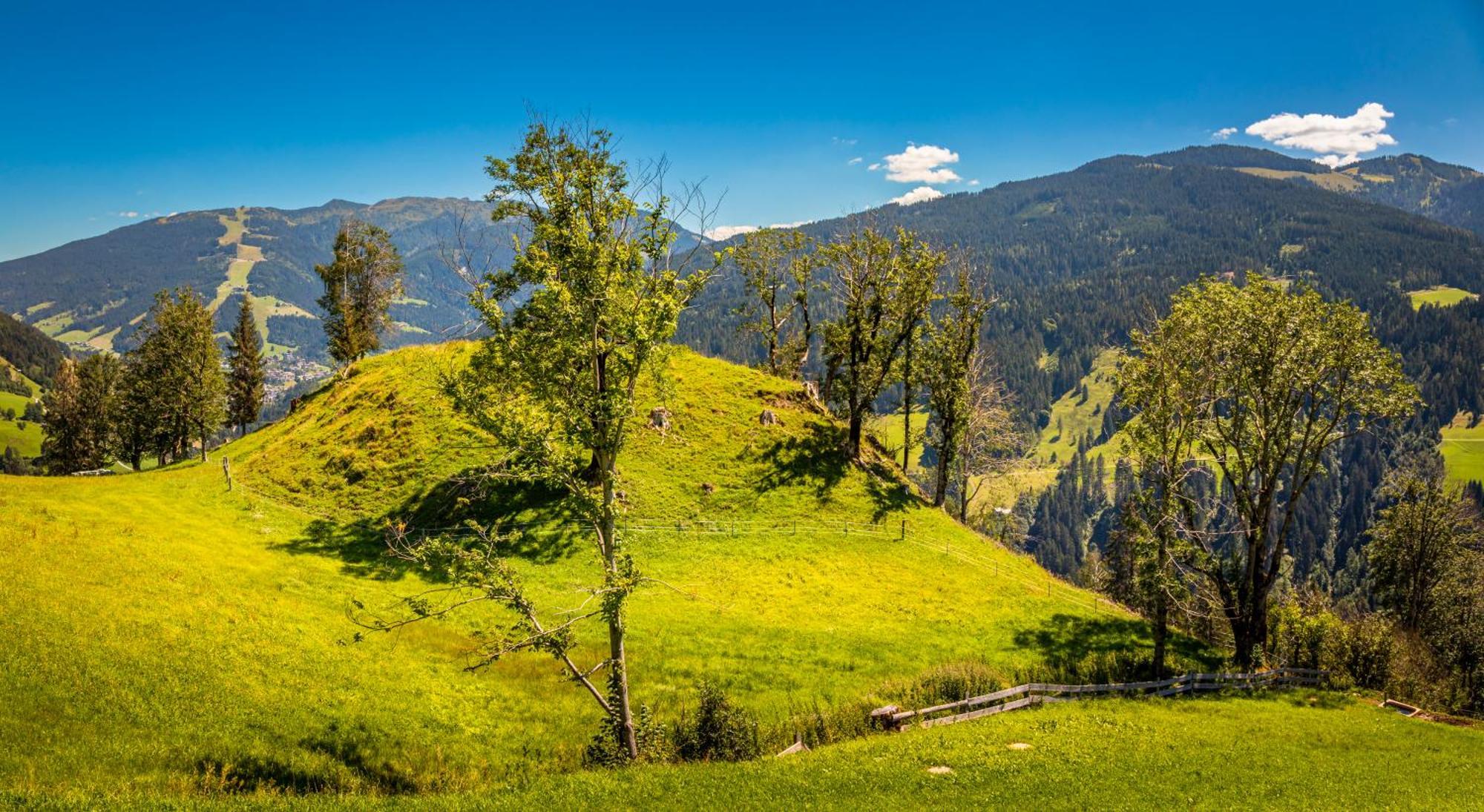 Haus Lindbichl Villa Sankt Johann im Pongau Phòng bức ảnh